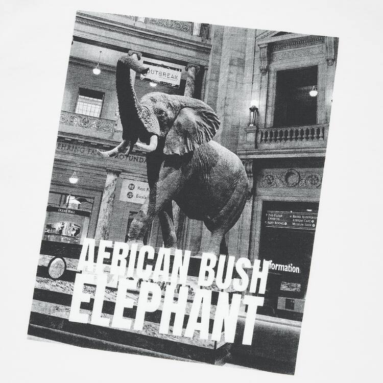 Uniqlo The Smithsonian Ut Grafika Tricko Detske Biele | ZTQRDO-437